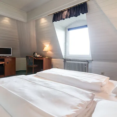 Tagungshotel Hoechster Hof 3* Fráncfort del Meno
