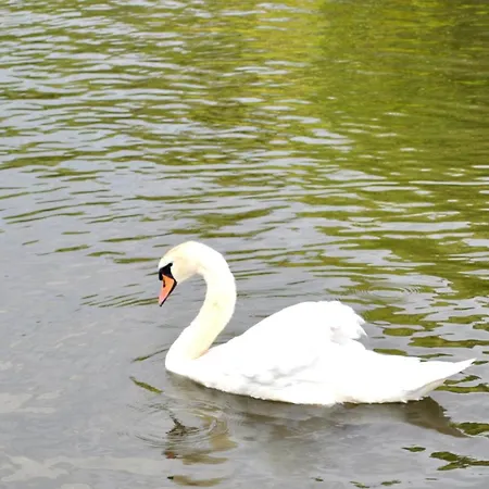 Tagungshotel Hoechster Hof