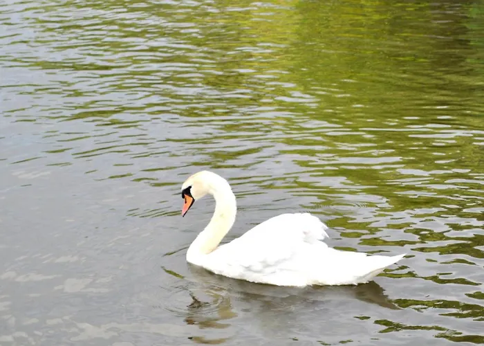Tagungshotel Hoechster Hof
